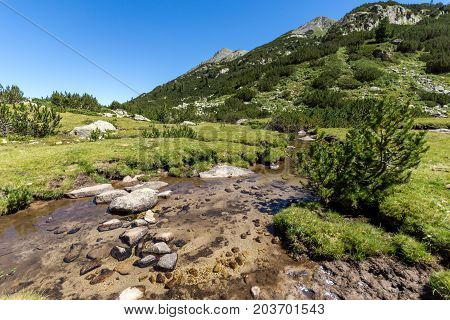 Amazing landscape with Valyavitsa river and Valyavishki chukar peak, Pirin Mountain, Bulgaria