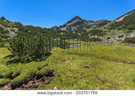 Amazing landscape with Valyavitsa river and Valyavishki chukar peak, Pirin Mountain, Bulgaria