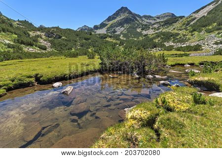 Amazing landscape with Valyavitsa river and Valyavishki chukar peak, Pirin Mountain, Bulgaria