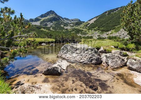 Amazing landscape with Valyavitsa river and Valyavishki chukar peak, Pirin Mountain, Bulgaria
