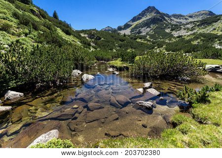 Amazing landscape with Valyavitsa river and Valyavishki chukar peak, Pirin Mountain, Bulgaria