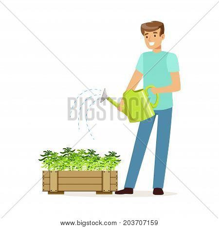 Young smiling man watering plants in wooden box, house husband working at home vector Illustration on a white background