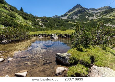Amazing landscape with Valyavitsa river and Valyavishki chukar peak, Pirin Mountain, Bulgaria