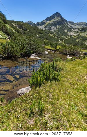 Amazing landscape with Valyavitsa river and Valyavishki chukar peak, Pirin Mountain, Bulgaria