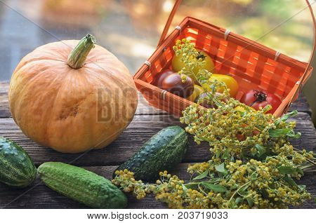 Close up photo of edible vegetables - cherry tomatoes red bell pepper and cucumber with some vegetables in the background on an old wooden table The golden-faced Canadian