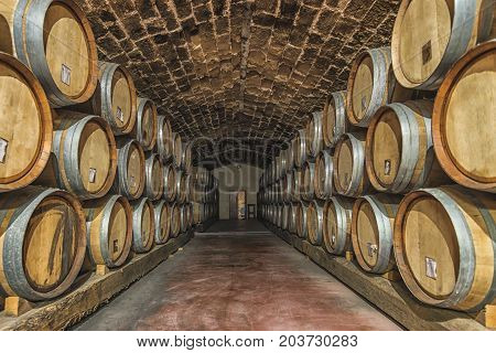 Picture of wooden wine barrels in the wine cellar.