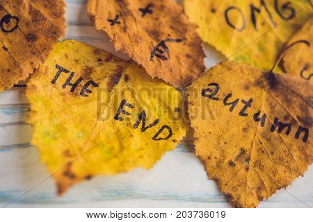 Yellow And Green Leaf With The Inscription Autumn On The Old Wooden Background