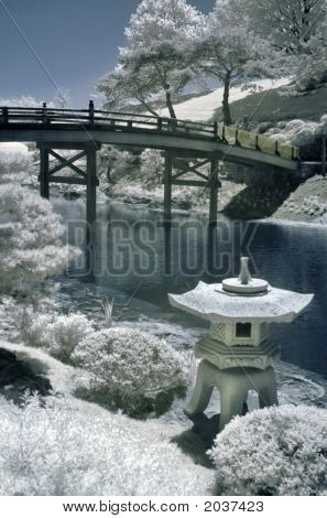 Japanese Garden In Infrared