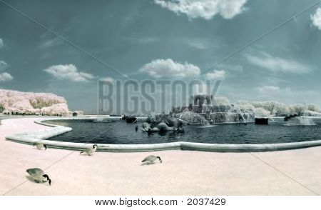 Chicago'S Buckingham Fountain In Infrared