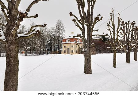 garden of Moritzburg castle in winter time in Germany