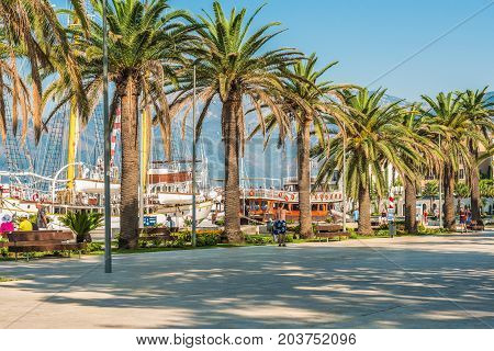 TIVAT, MONTENEGRO - August 24, 2017:  Promenade on the quay of Tivat, Montenegro, with beautiful palm trees, sea vessels against the background of mountain peaks and Kotor Bay.