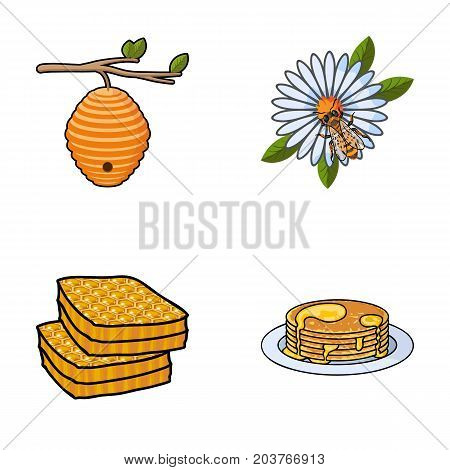 A hive on a branch, a bee on a flower, a honeycomb with honey, a honey cake.Apiary set collection icons in cartoon style vector symbol stock illustration .