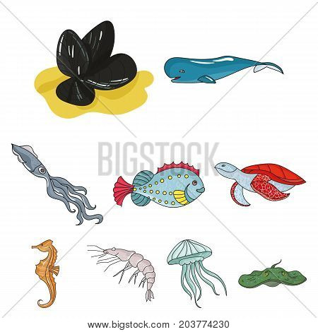 Marine and river inhabitants. Fish, whales, octopuses.Sea animals icon in set collection on cartoon style vector symbol stock web illustration.