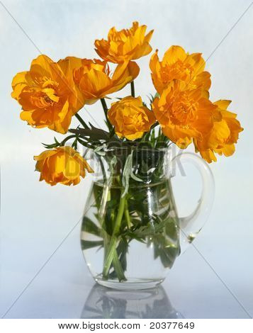 bouquet of flowers Globeflowers Orange