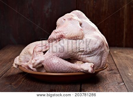 Kamasutra close up concept ,  adult sexual humour