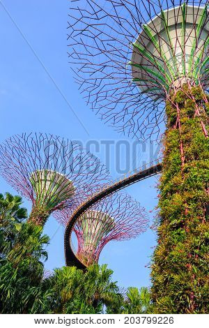 Gardens By The Bay At Singapore