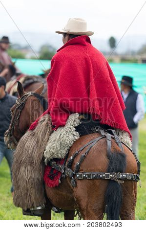 June 3 2017 Machachi Ecuador: cowboy form the Andes on horseback wearing a red traditional poncho and furry chaps