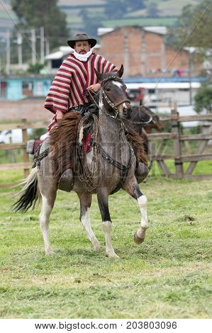 June 3 2017 Machachi Ecuador: cowboy wearing furry chaps and traditional striped poncho on horseback