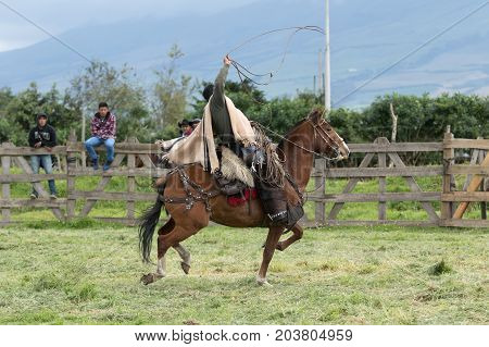 June 3 2017 Machachi Ecuador: cowboy in the Andes riding horse and exercising the lasso
