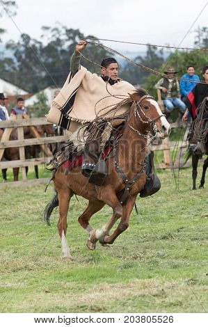 June 3 2017 Machachi Ecuador: cowboy called 'chagra' in the Andes riding a horse while holding up a lasso