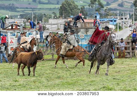 June 3 2017 Machachi Ecuador: cowboys roping a bull in a rural rodeo in the Andes region