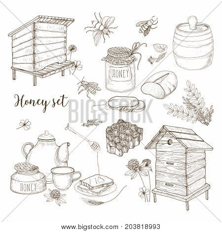 Honey production, beekeeping or apiculture set - honeycomb, man-made beehives, wooden dipper, bees, teapot hand drawn in retro style on white background. Monochrome vector illustration