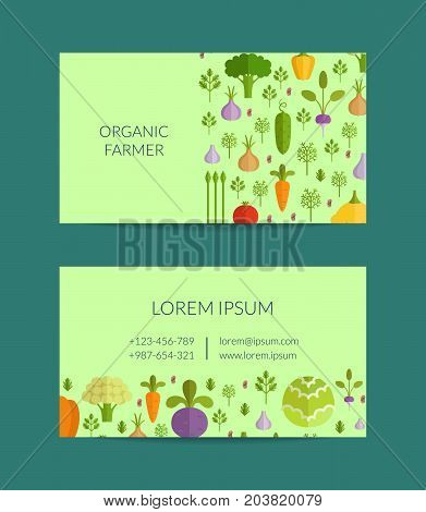 Vector fruits and vegetables organic farm, vegan, healthy food business card template. Illustratioin of poster vegan