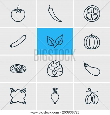 Editable Pack Of Cole, Peppermint, Paprika And Other Elements.  Vector Illustration Of 12 Food Icons.