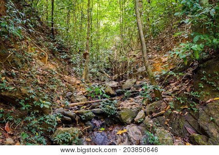 Scenery In Khao Sok National Park In Thailand. Khao Sok National Park The Rain Jungle Forest In Sura