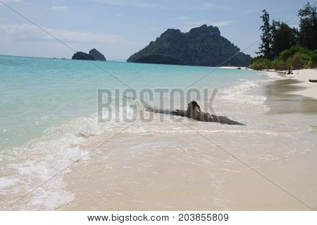 Blue and white beach on Thai island