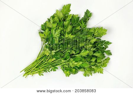 Parsley herb leaves. Parsley bunch isolated on white background.