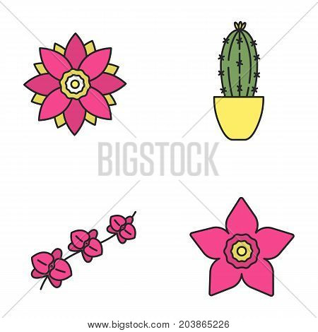 Flowers color icons set. Lotus, daffodil, orchid branch, cactus in flowerpot. Isolated vector illustrations