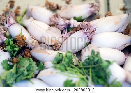 Food of Grilled cuttlefish Boil and scald with lemon.