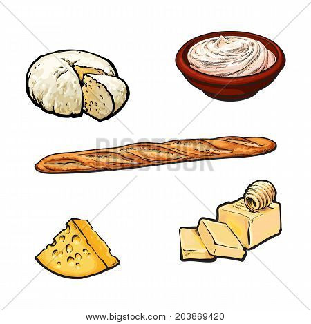 Vector sketch cartoon sour cream in ceramic brown pot or plate, soft brie and yellow porous cheese, butter bar with clices and french baguette bread loaf. Isolated illustration on a white background.