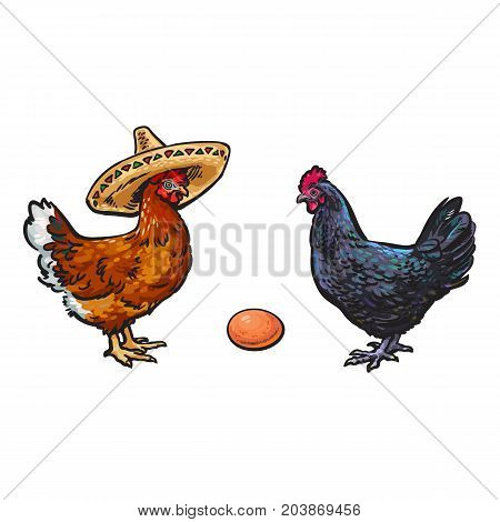 vector chicken hen brown egg, dark blue chicken and brown chicken in sombrero sketch set isolated. Illustration on a white background