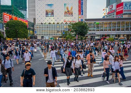 TOKYO, JAPAN JUNE 28 - 2017: Unidentified pedestrians crossing the Shibuya street in Tokyo, Japan. The famous scramble crosswalk is used by over 2.5 million people daily.