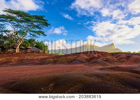 Chamarel seven coloured earths.Natural parkthe most famous tourist place of Mauritius island.