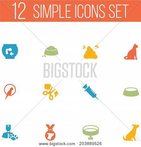 Collection Of Neckband , Medallion, Scissor Elements.  Set Of 12 Mammal Icons Set.