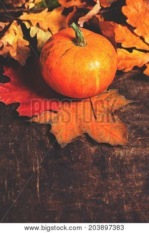 Autumn Pumpkin Background - orange pumpkins over wooden table. Thanksgiving Halloween Fall concept. Greeting card with copy space for text