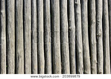 texture from big old grey and wooden logs