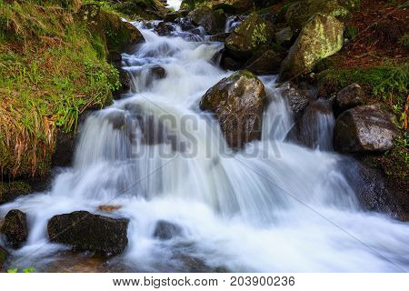 In the beautiful green forest on the huge rocks the fast tempestuous mountain waterfall flows. A fascinating view.