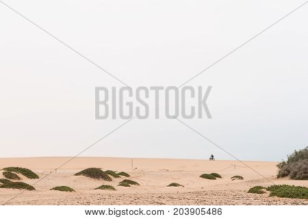 A cyclist on a fatbike on a dune at Swakopmund in the Namib Desert on the Atlantic Coast of Namibia