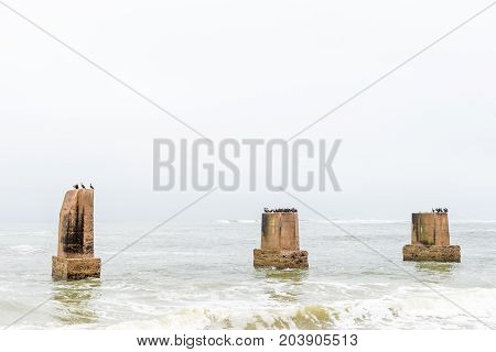 White-breasted and Bank cormorants on pillars of the old railroad bridge over the mouth of the Swakop River at Swakopmund in the Namib Desert