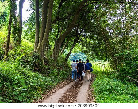 People walking to visit the rice fields plantation in Japan.