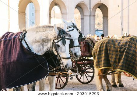 Horses with wagons in winter on the main square of Salzburg in Austria. Entertainment of tourists, riding. Attractions.