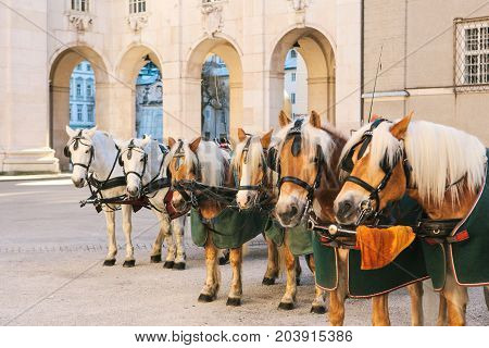 Horses with wagons in winter on the main square of Salzburg in Austria. Entertainment of tourists, riding. Attractions.