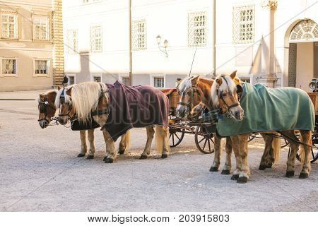 Horses with wagons in winter on the main square of Salzburg in Austria. Entertainment of tourists, riding. Attractions.