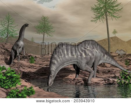 Amargasaurus dinosaur going to drink in the desert with araucaria trees by sunset - 3D render