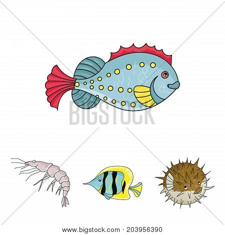 Shrimp, fish, hedgehog and other species.Sea animals set collection icons in cartoon style vector symbol stock illustration .