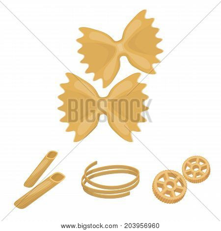 Different types of pasta. Types of pasta set collection icons in cartoon style vector symbol stock illustration .